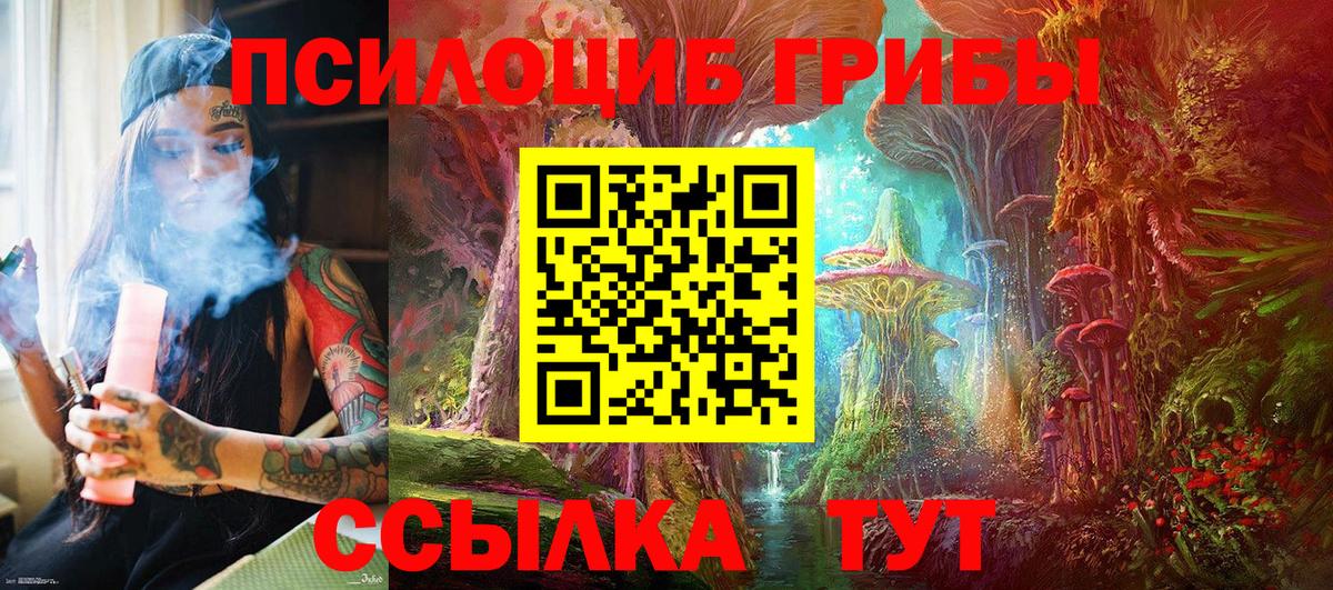 Галлюциногенные грибы Psilocybe  Вход с VPN  Котовск 
